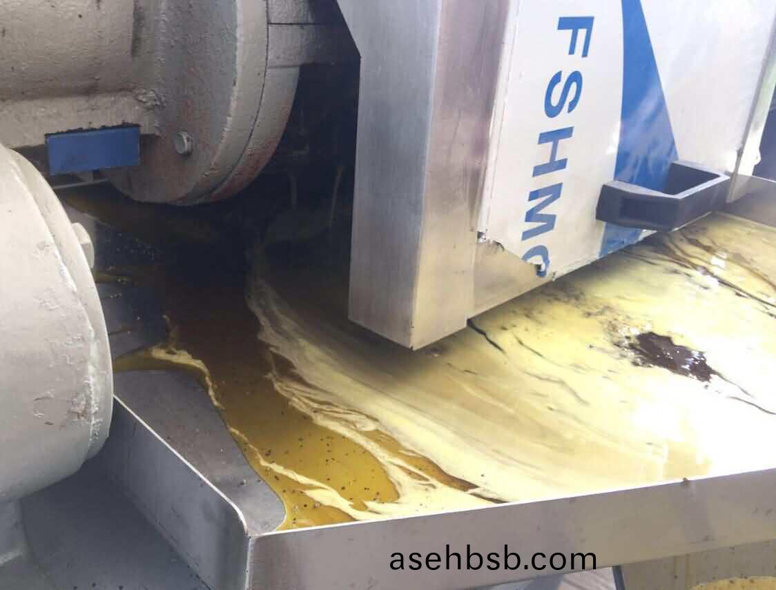 榨花生油、菜籽(zi)油机(ji)器