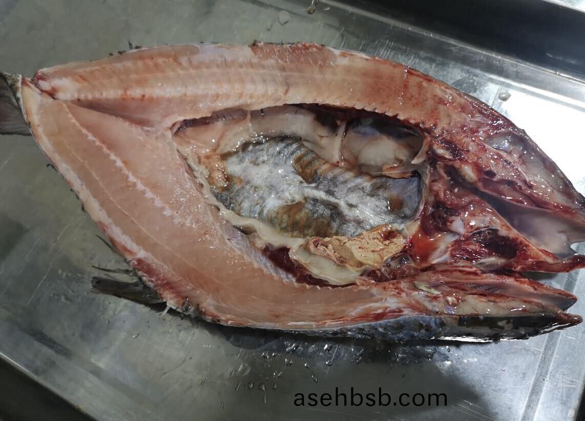 5da3dd6c7bcba.jpg 5da3dd6c7bcba.jpg