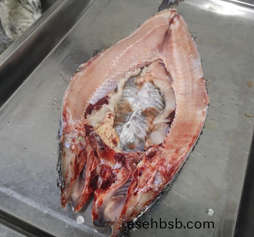 5da3dd6d1ee45.jpg 5da3dd6d1ee45.jpg