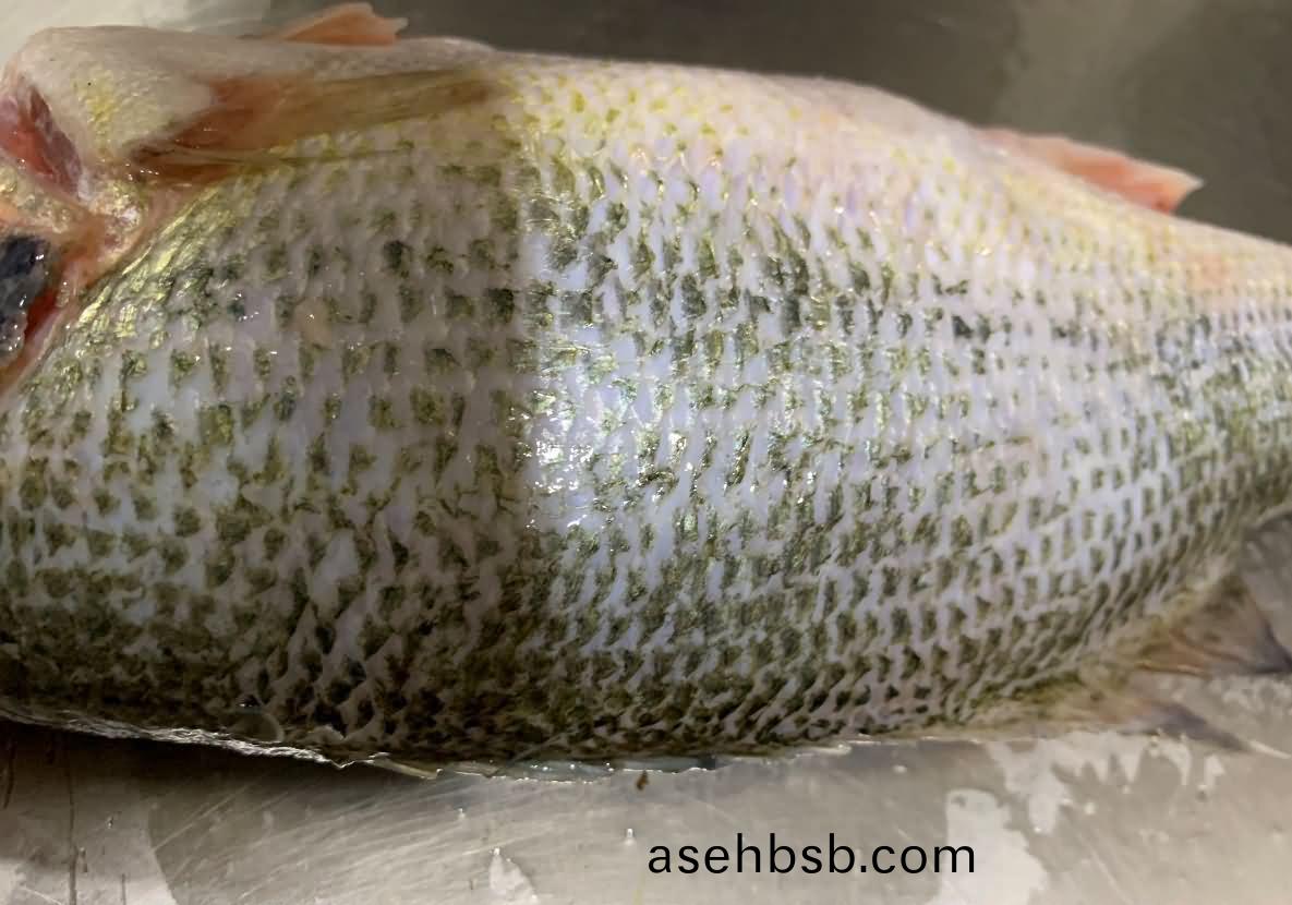 5de5bf412fa1f.jpg 5de5bf412fa1f.jpg