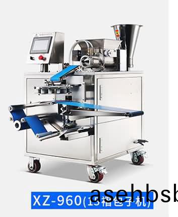 XZ-960_24.jpg