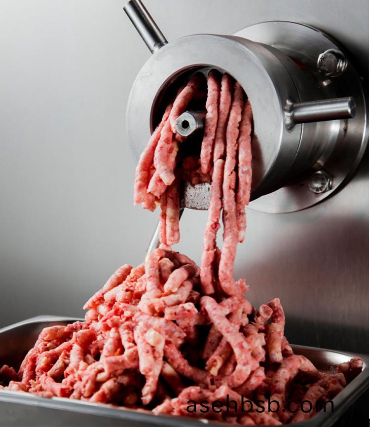 å†»è‚‰ç»žè‚‰æœºè¯¦æƒ…_03.jpg