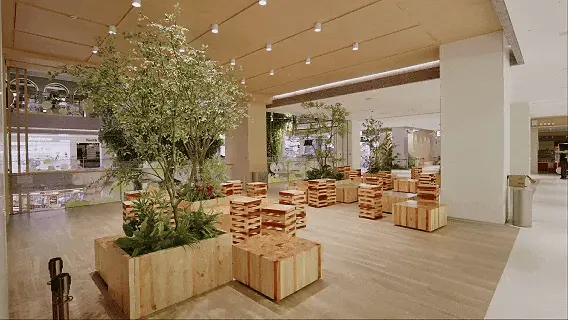 动图